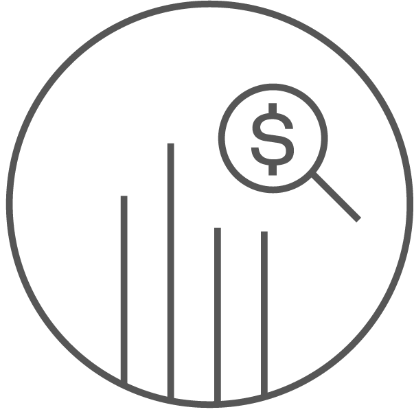 Icon Surveillance Money