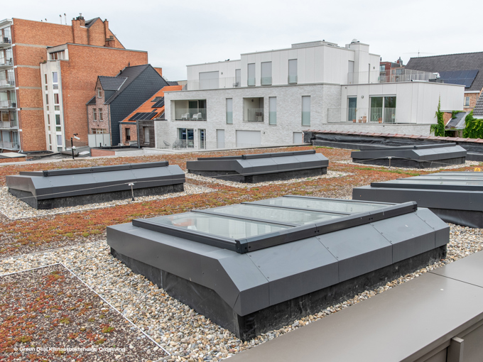 A rooftop garden featuring several black skylights, surrounded by gravel and greenery, with modern buildings in the background.