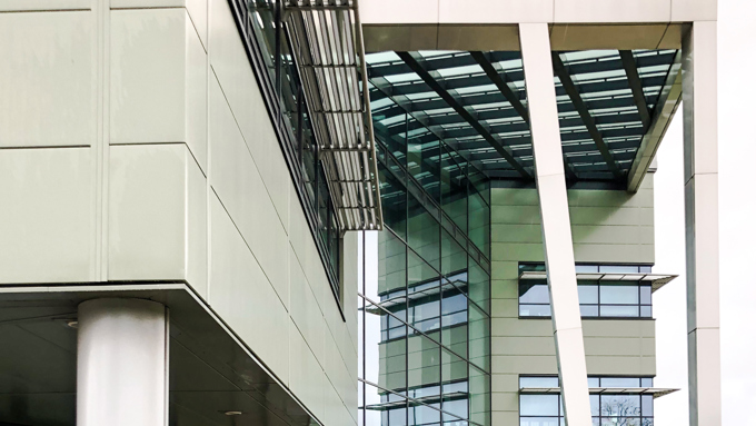 School of Veterinary Medicine, University of Surrey