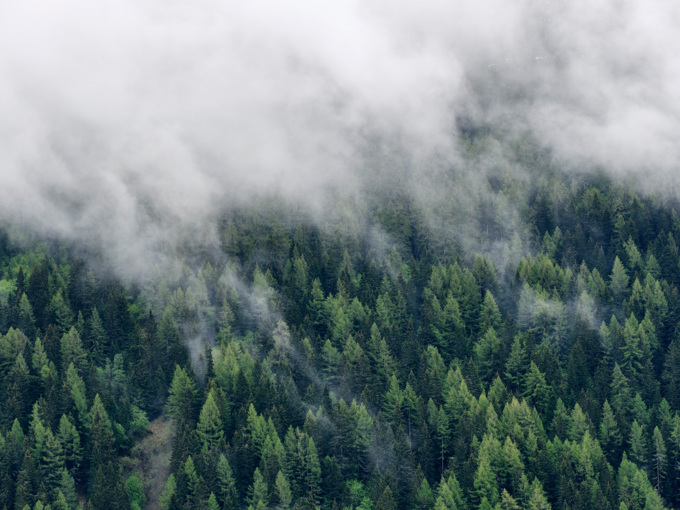 Cloud Drifting Over Mountain Forest